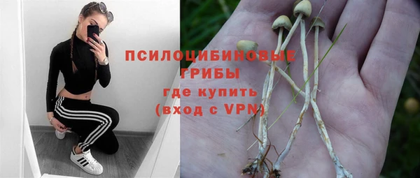 бутират Алзамай