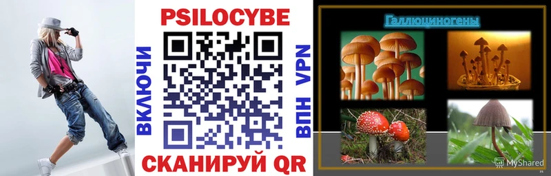 Галлюциногенные грибы мицелий Венёв